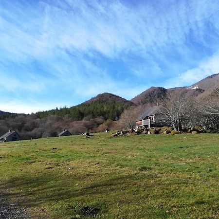 Les Chalets De La Foret D'Issaux Osse-en-Aspe Dış mekan fotoğraf