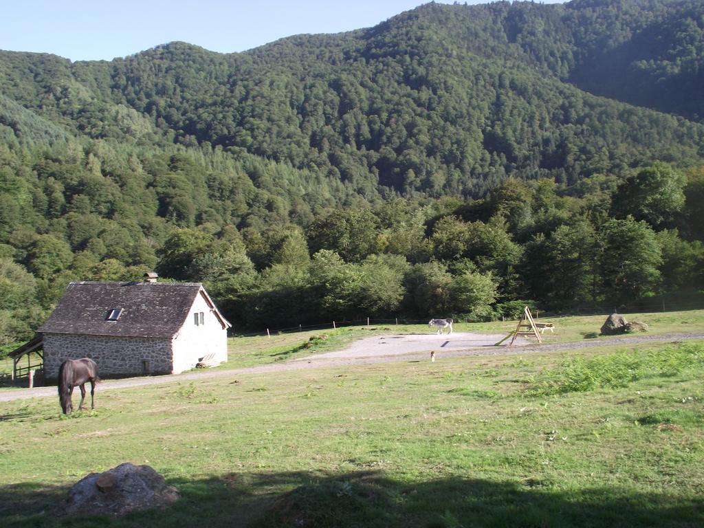 Les Chalets De La Foret D'Issaux Osse-en-Aspe Oda fotoğraf