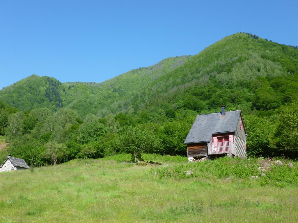 Les Chalets De La Foret D'Issaux Osse-en-Aspe Dış mekan fotoğraf