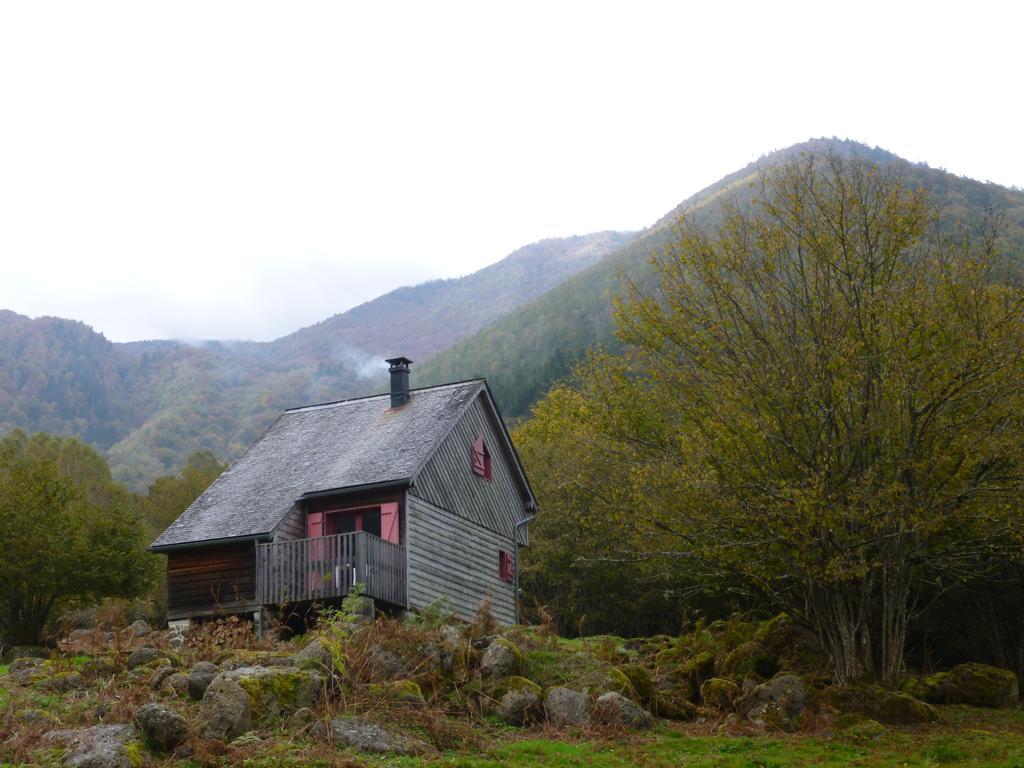 Les Chalets De La Foret D'Issaux Osse-en-Aspe Dış mekan fotoğraf