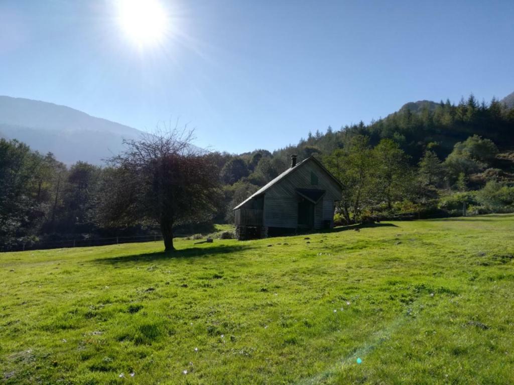 Les Chalets De La Foret D'Issaux Osse-en-Aspe Dış mekan fotoğraf
