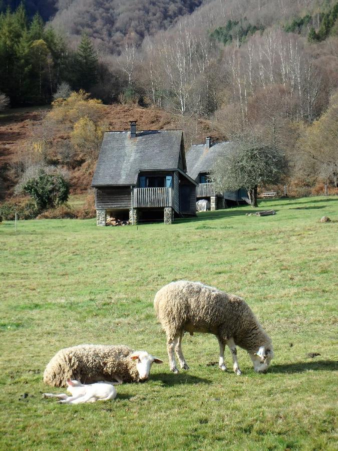 Les Chalets De La Foret D'Issaux Osse-en-Aspe Dış mekan fotoğraf