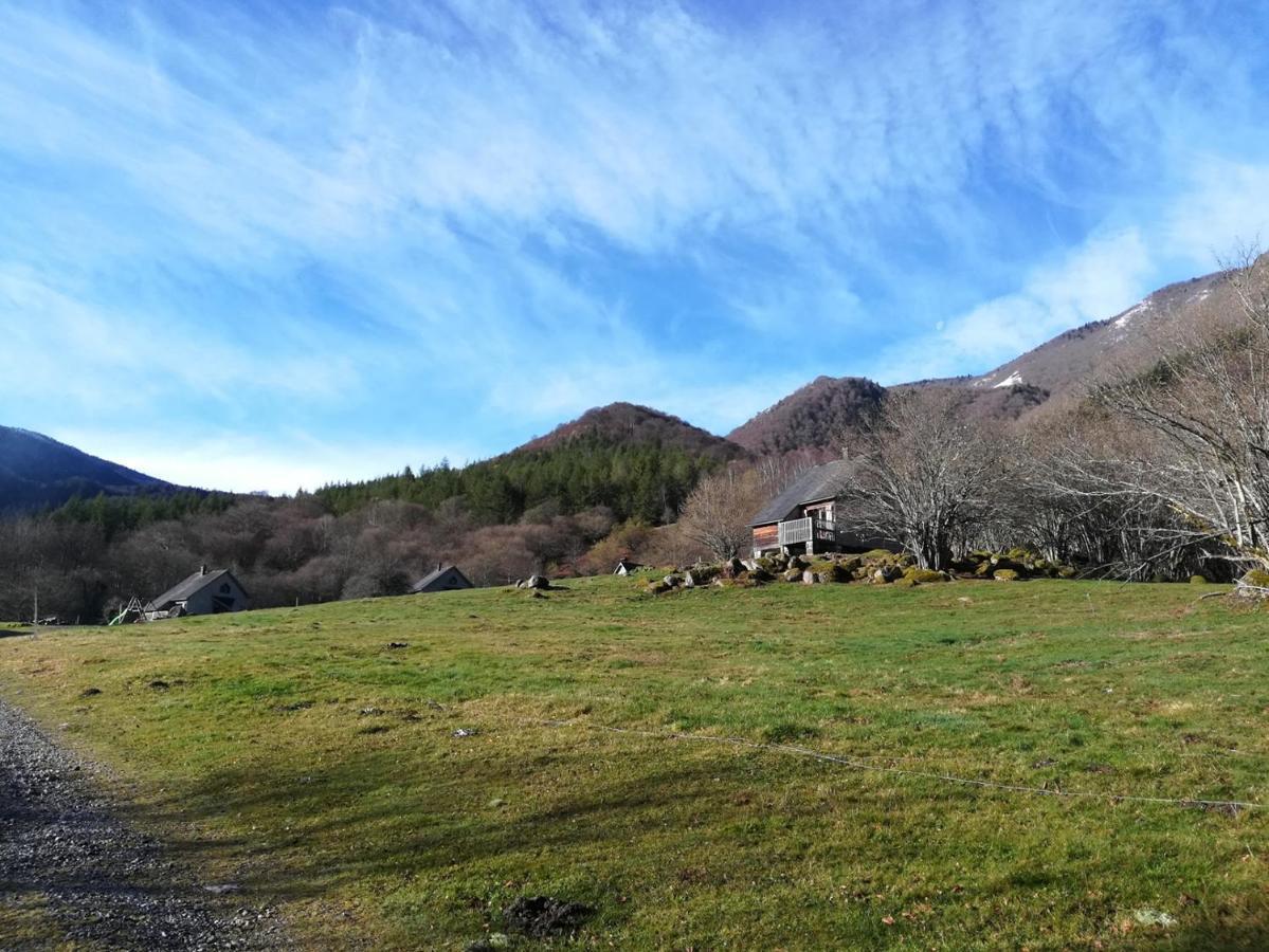 Les Chalets De La Foret D'Issaux Osse-en-Aspe Dış mekan fotoğraf